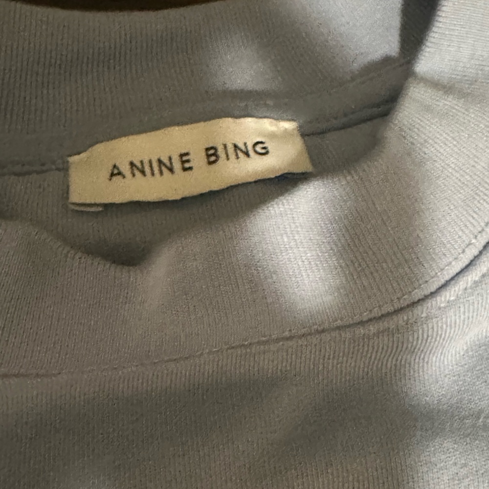 Anine Bing Light Blue Sweatshirt - Picture 3 of 9
